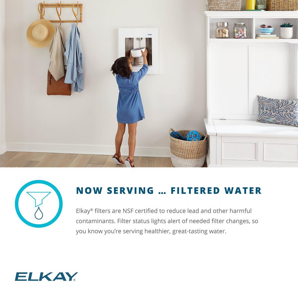 Elkay ezH2O Liv Built-in Filtered Water Dispenser with Remote Chiller-DirectSinks