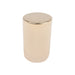 Berenson Mini Knob in Rose Gold - Round