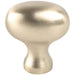 Berenson Transitional Advantage Three Knob in Champagne