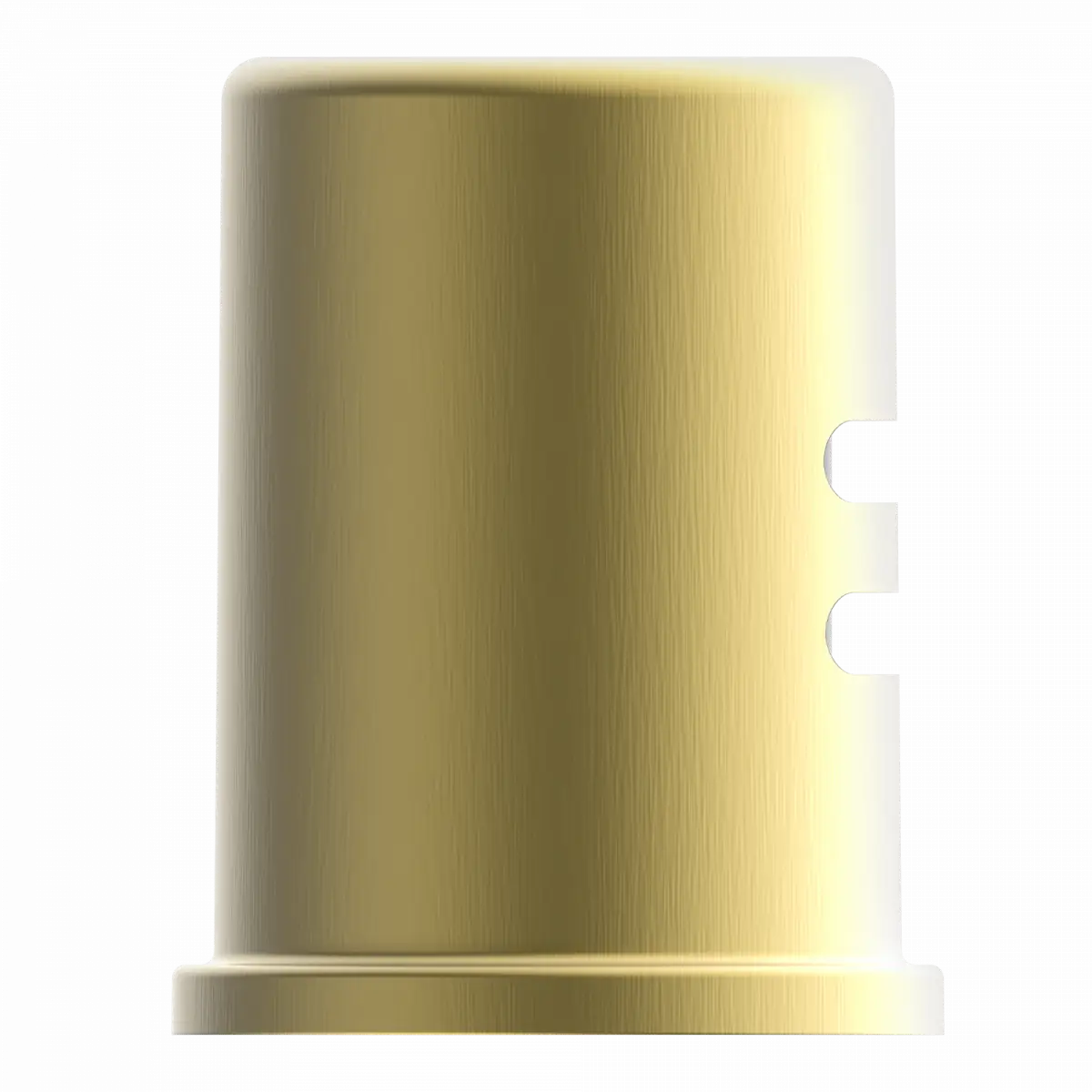 Wasserwerk Dishwasher Air Gap in Brushed Gold