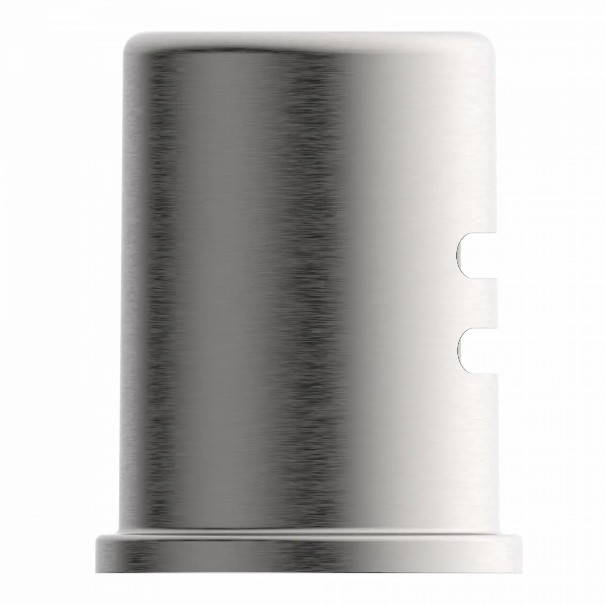 Wasserwerk Dishwasher Air Gap in a Stainless Finish