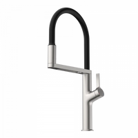 Wasserwerk Single Hole Pull Down Kitchen Faucet in Brushed Nickel