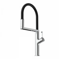 Wasserwerk Single Hole Pull Down Kitchen Faucet in Chrome