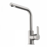 Wasserwerk Felis Single Hole Straight Kitchen Faucet in Brushed Nickel