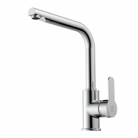 Wasserwerk Felis Single Hole Straight Kitchen Faucet in Chrome