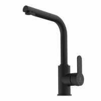 Wasserwerk Kitchen Faucet with Pull-Out Straight Spout in Matte Black