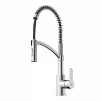 Wasserwerk Single Hole Pull Down Kitchen Faucet in Chrome