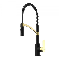 Wasserwerk Single Hole Pull Down Kitchen Faucet | Matte Black & Brushed Gold