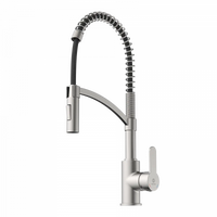 Wasserwerk Single Hole Pull Down Kitchen Faucet in Brushed Nickel