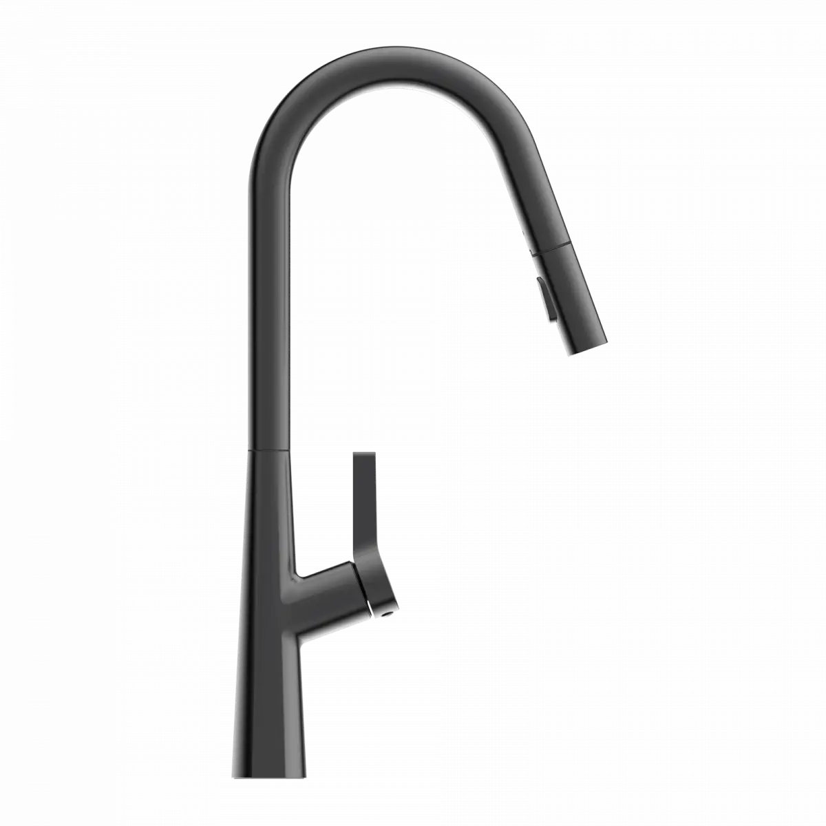 Wasserwerk Kitchen Faucet with Curved Spout Pull-Down Sprayer in Matte Graphite