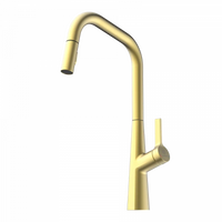Wasserwerk Single Hole Pull Down Kitchen Faucet in Brushed Gold