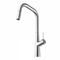 Wasserwerk Single Hole Pull Down Kitchen Faucet in Chrome