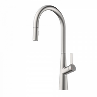 Wasserwerk Single Hole Pull Down Kitchen Faucet in Brushed Nickel