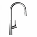 Wasserwerk Single Hole Pull Down Kitchen Faucet in Chrome-DirectSinks
