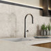 Wasserwerk Single Hole Pull Down Kitchen Faucet in Matte Graphite-DirectSinks