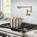 KRAUS Brushed Brass Wall Mounted Pot Filler-DirectSinks