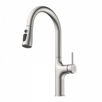 Wasserwerk Arched Pull-Down Kitchen Faucet in Brushed Nickel