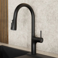 Wasserwerk Arched Pull-Down Kitchen Faucet in Matte Black