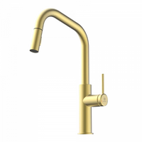 Wasserwerk Kitchen Faucet with Angled Spout Pull-Down Sprayer in Brushed Gold