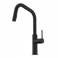 Wasserwerk Kitchen Faucet with Angled Spout Pull-Down Sprayer in Matte Black