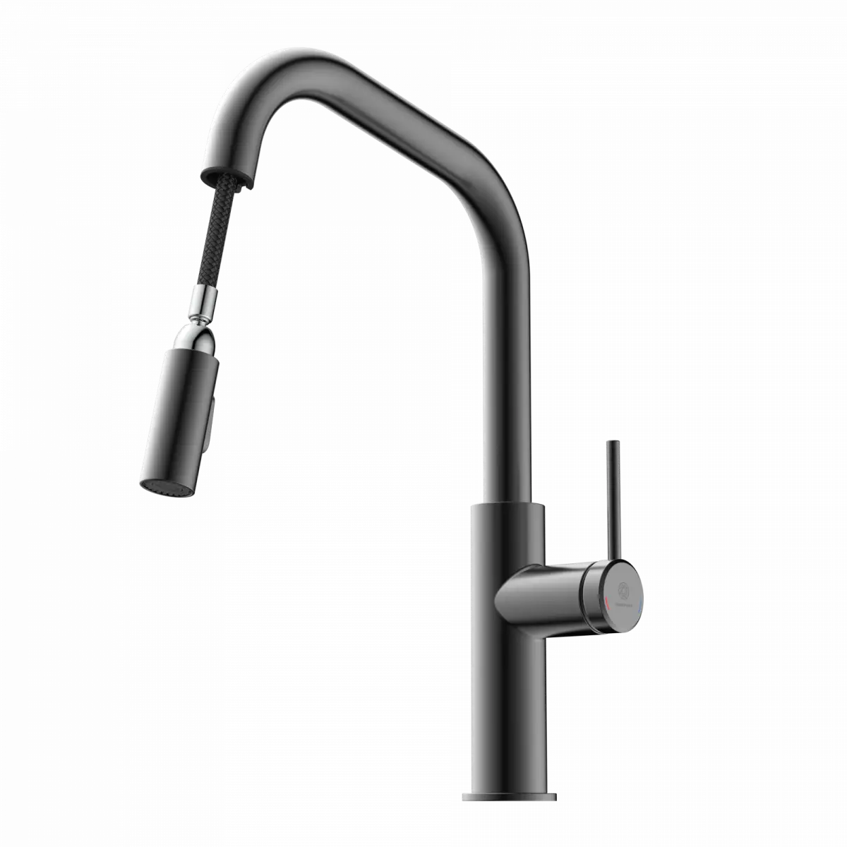 Wasserwerk Kitchen Faucet with Angled Spout Pull-Down Sprayer in Matte Graphite
