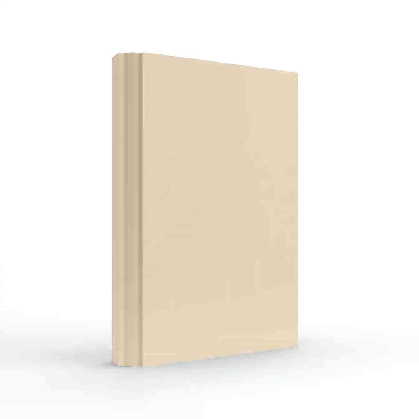 Macadamia Beige Color Sample by Fabuwood Cabinetry