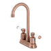 Kingston Brass KB849XDPL-P Paris Bar Faucet-DirectSinks