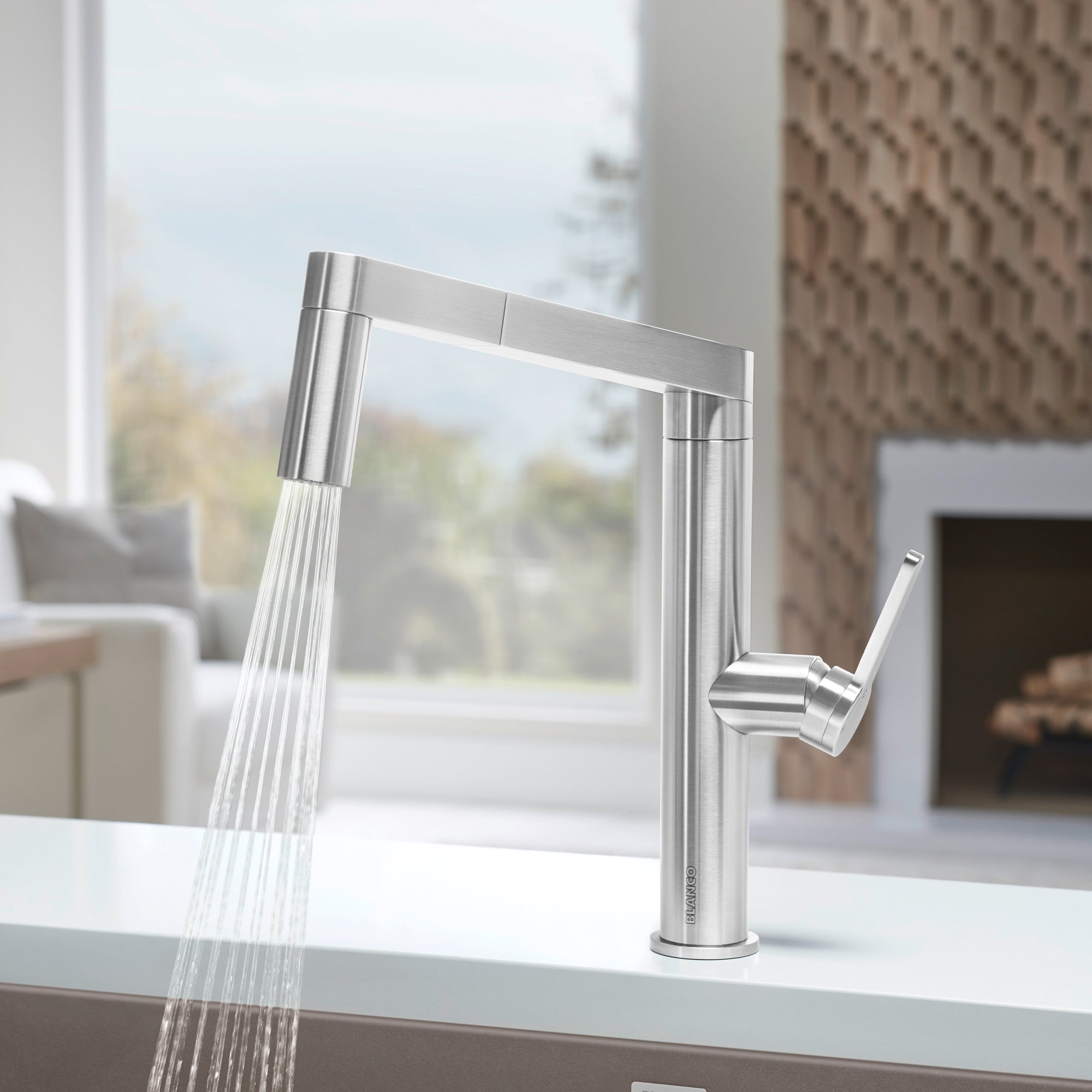 BLANCO Panera Pull-Out Kitchen Faucet in Stainless