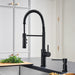 BLANCO Catris Semi-Pro Kitchen Faucet