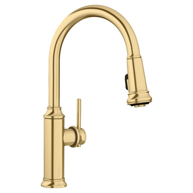 BLANCO Empressa Pull-Down Kitchen Faucet  